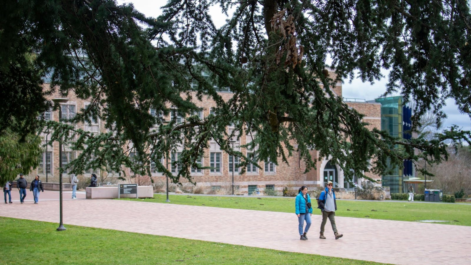 Students walking past a college campus building under a large tree