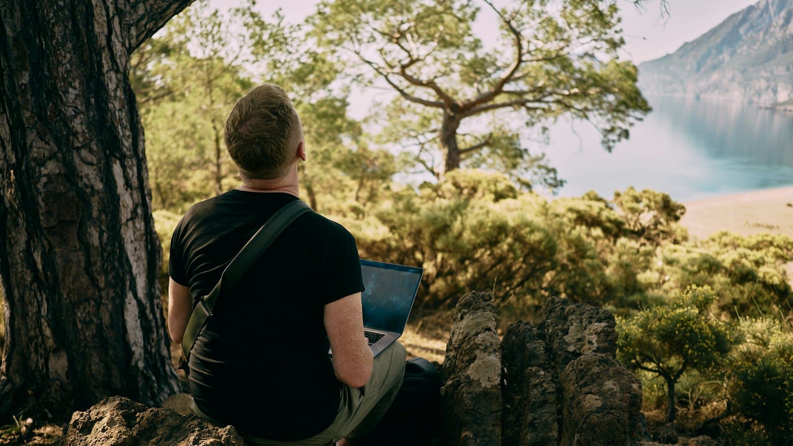 Man with a laptop sitting under a pine tree overlooking a coastal bay