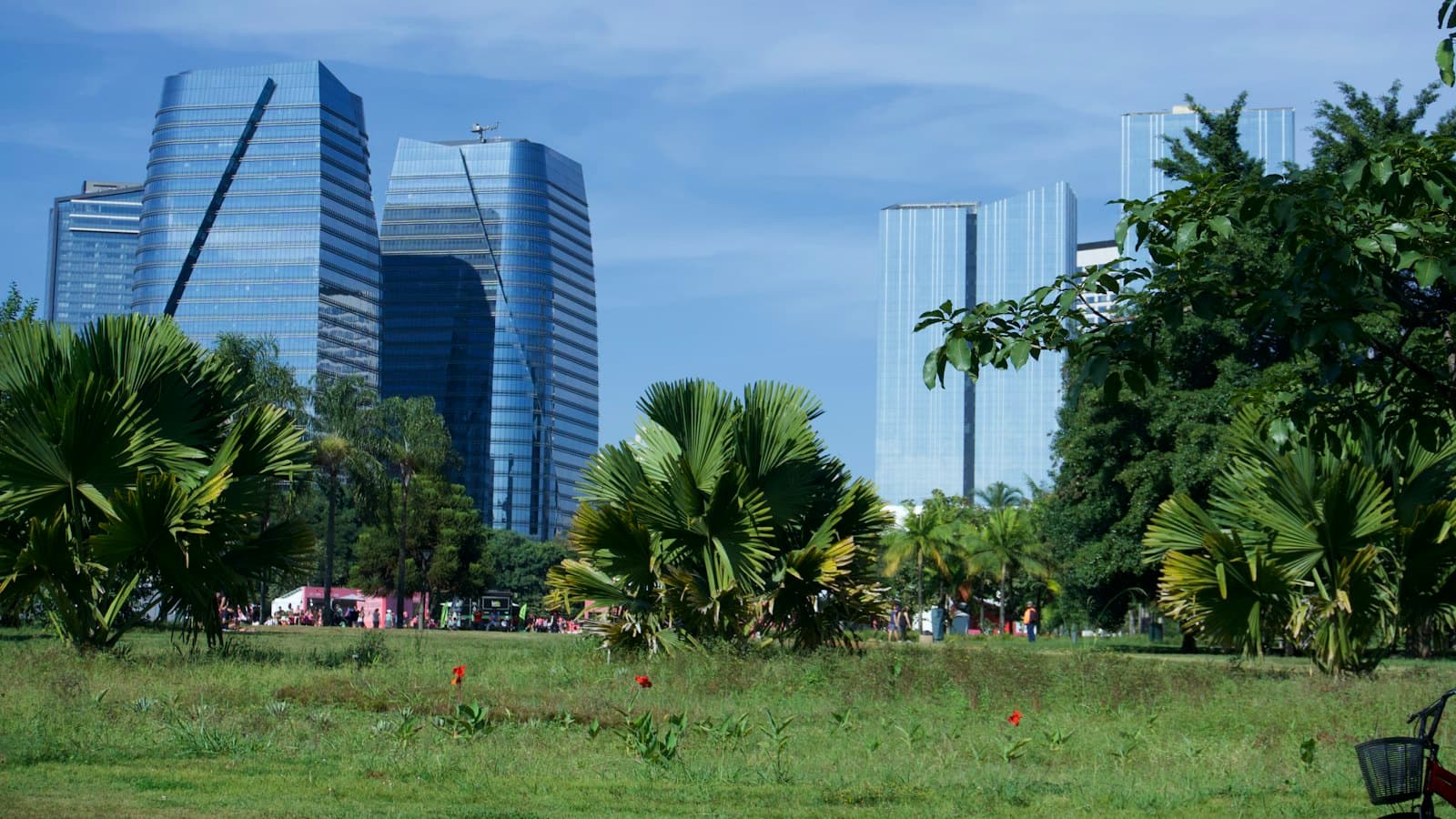 Modern skyscrapers rising behind a lush green city park with mature trees