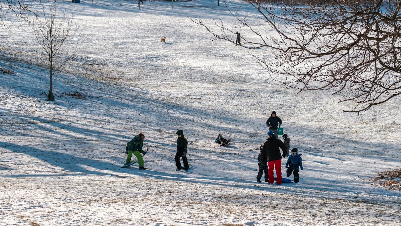 Parents and children sledding on a snowy park hill in winter sunshine