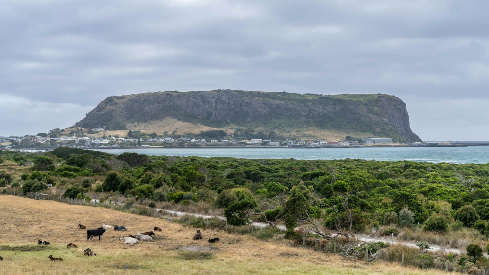 The Nut headland rising over the small coastal town of Stanley, Tasmania